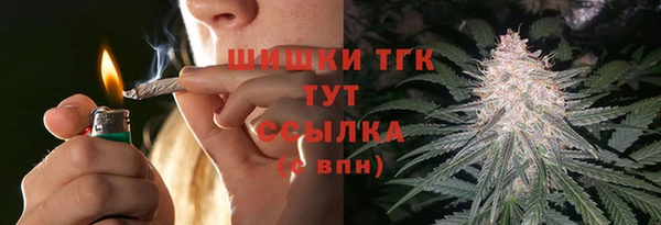 ГАЛЛЮЦИНОГЕННЫЕ ГРИБЫ Арсеньев