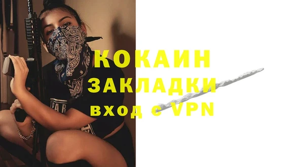 ГАЛЛЮЦИНОГЕННЫЕ ГРИБЫ Арсеньев