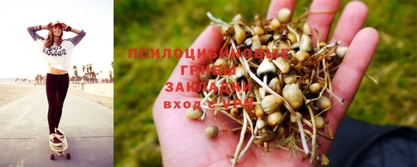 дживик Балабаново