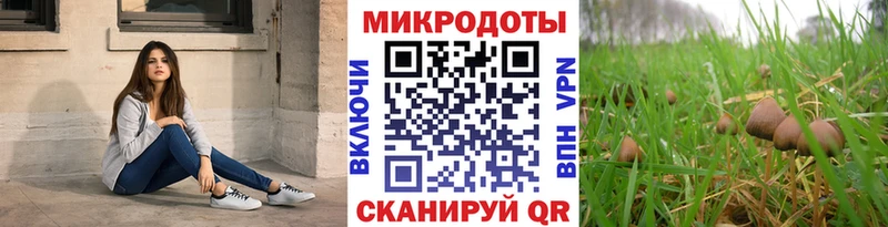 Псилоцибиновые грибы мицелий  Сергач 